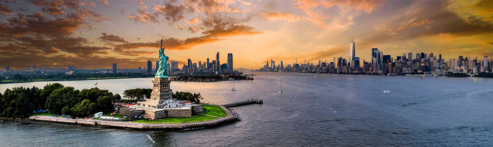 aereal view New York with the Statue of Liberty in the focus